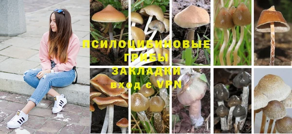 хмурый Анива