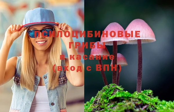 эйфоретик Надым