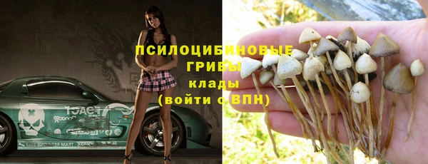 эйфоретик Надым