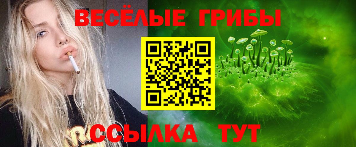 Псилоцибиновые грибы мицелий  Галлюциногенные грибы Cubensis  Нальчик  Вход с VPN 