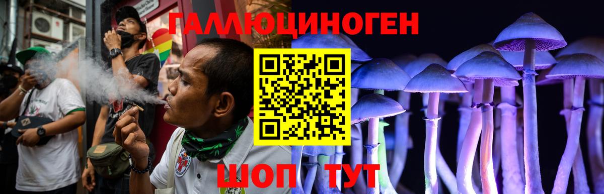 Галлюциногенные грибы GOLDEN TEACHER Нальчик